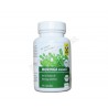 Moringa Bio (vegana) 90 cápsulas de 400mg - Raab